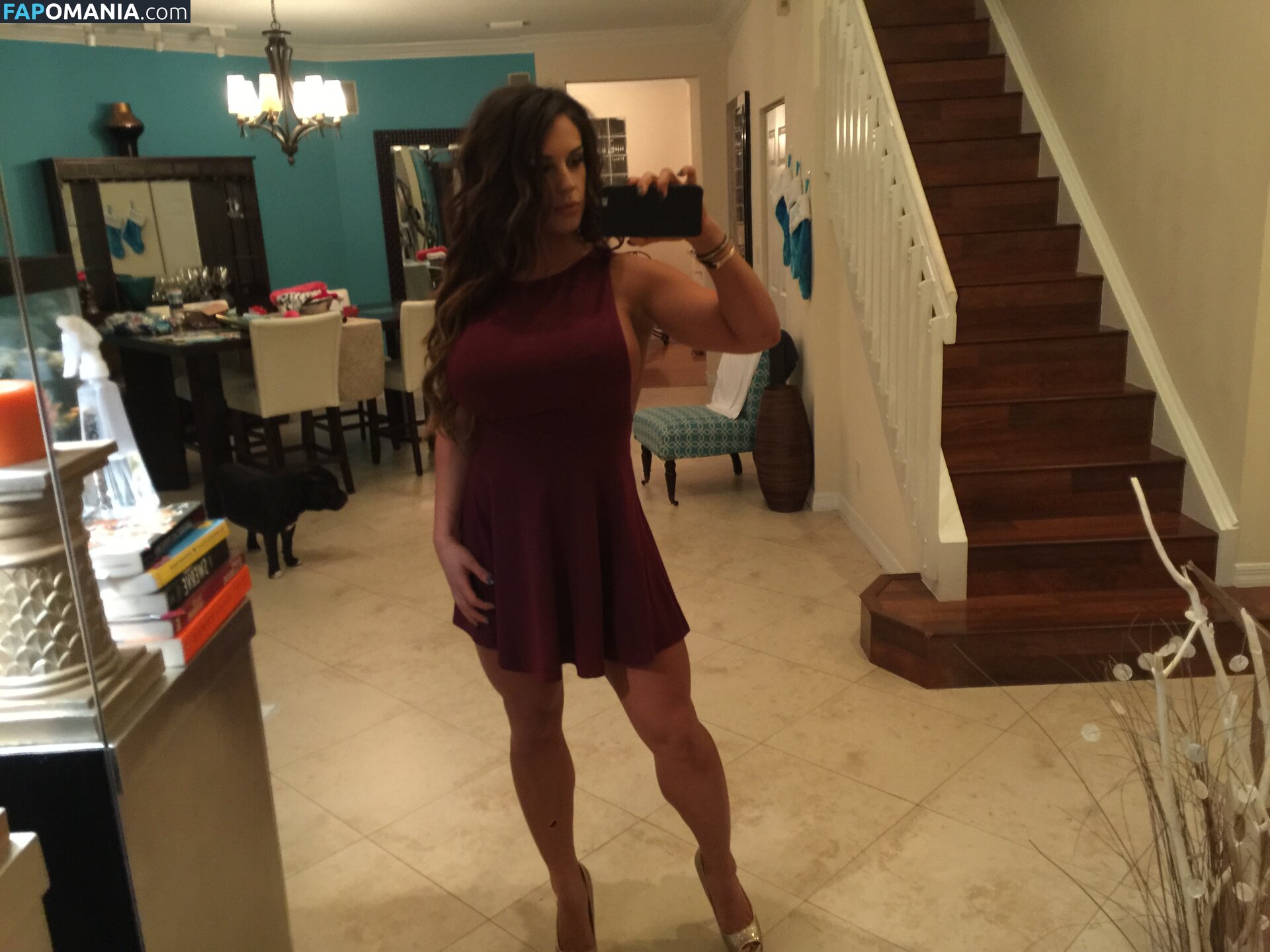 Kaitlyn WWE Γυμνός Διαρρεύσαστη φωτογραφία #35
