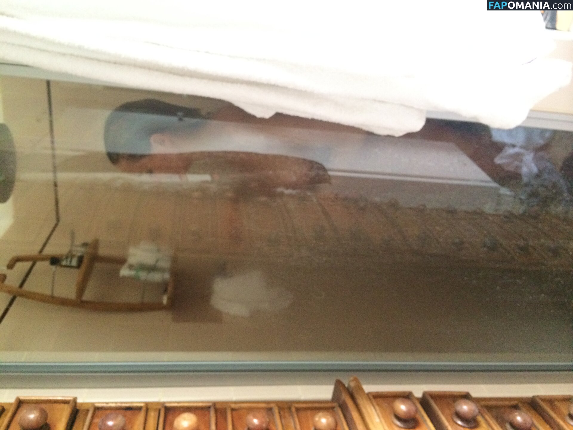 Lara Bingle Γυμνός Διαρρεύσαστη φωτογραφία #245