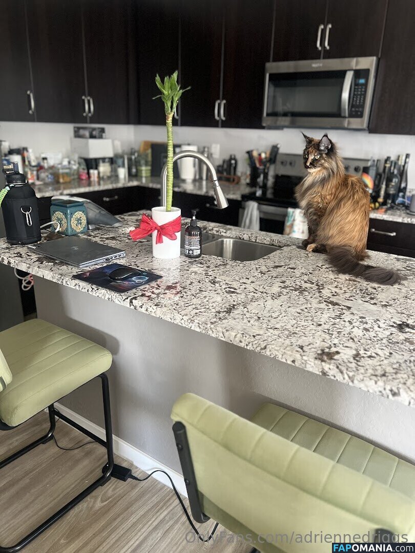 adrienne.driggs / adriennedriggs Γυμνός OnlyFans  Διαρρεύσαστη φωτογραφία #9