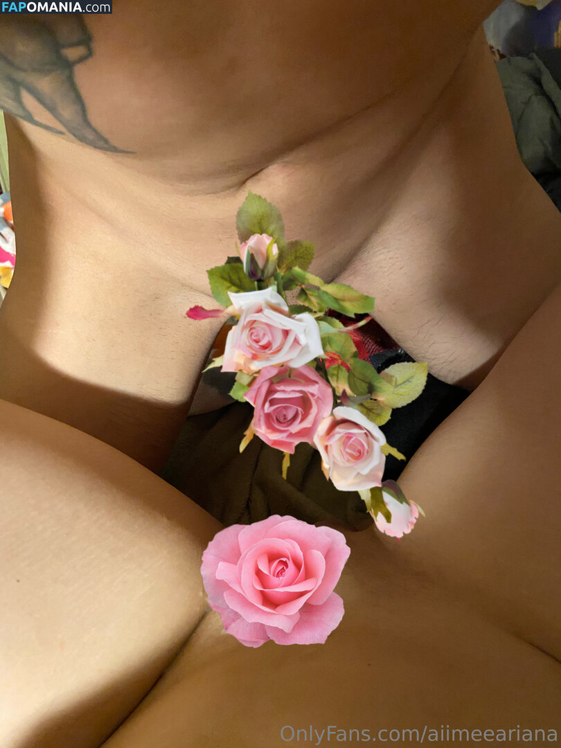 aiimeeariana Γυμνός OnlyFans  Διαρρεύσαστη φωτογραφία #3