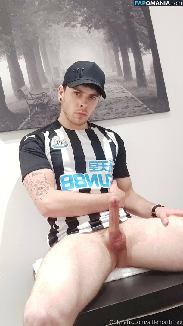 alfienorth / alfienorthfree Γυμνός OnlyFans  Διαρρεύσαστη φωτογραφία #1