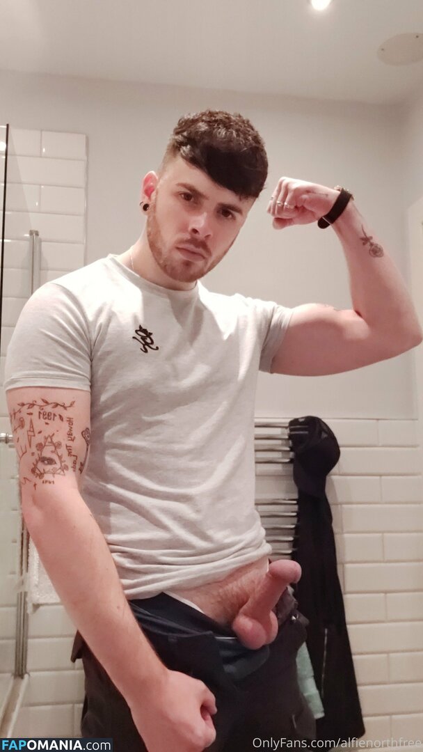 alfienorth / alfienorthfree Γυμνός OnlyFans  Διαρρεύσαστη φωτογραφία #2