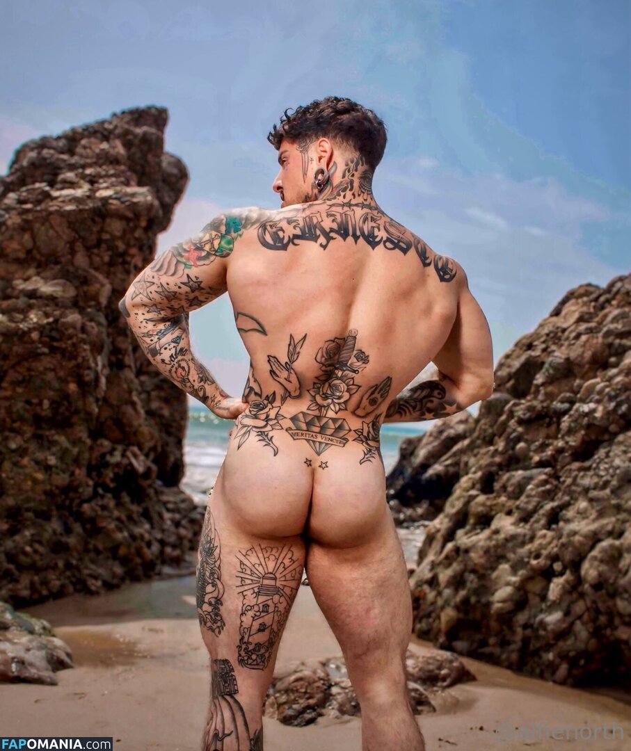 alfienorth / alfienorthfree Γυμνός OnlyFans  Διαρρεύσαστη φωτογραφία #43