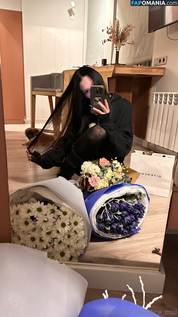 alice_mul / l_amulette Γυμνός OnlyFans  Διαρρεύσαστη φωτογραφία #17