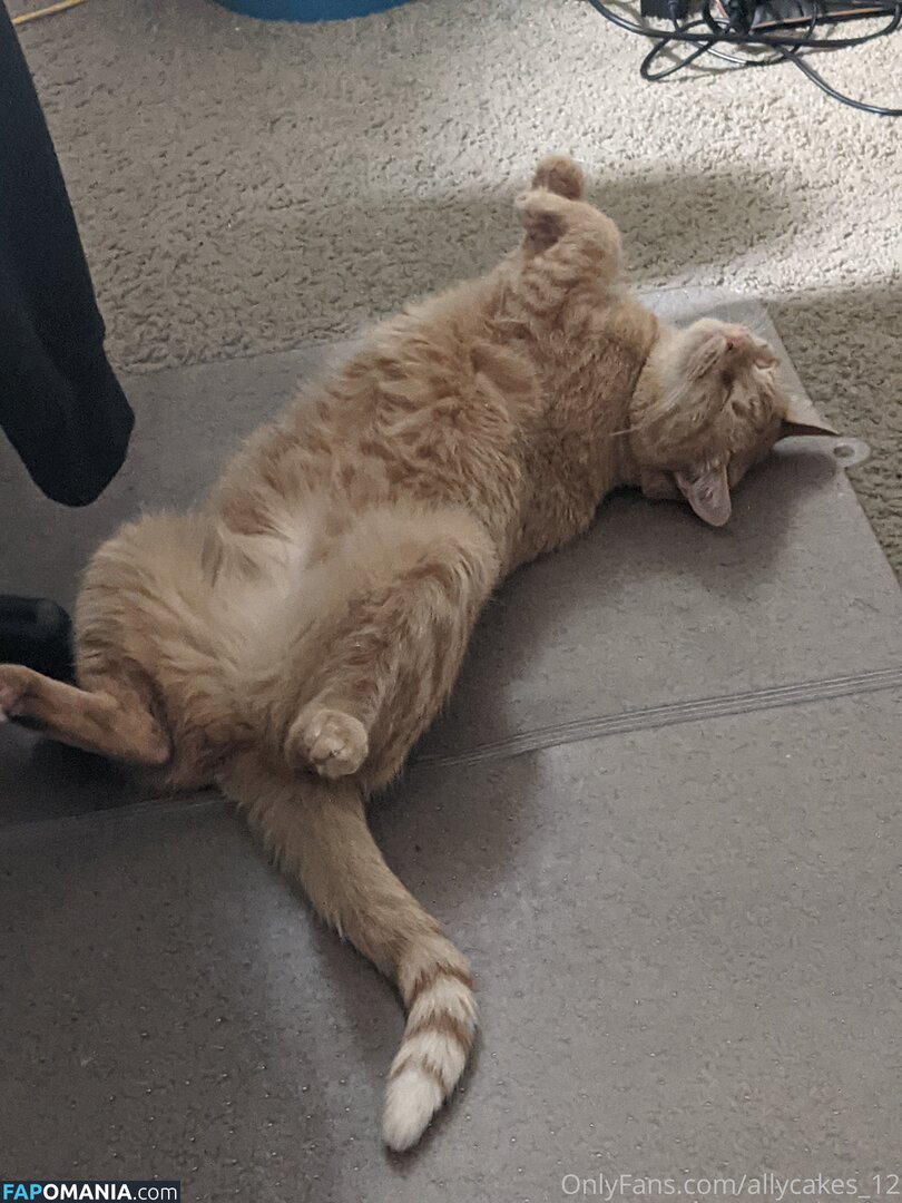 allycakes_12 Γυμνός OnlyFans  Διαρρεύσαστη φωτογραφία #3