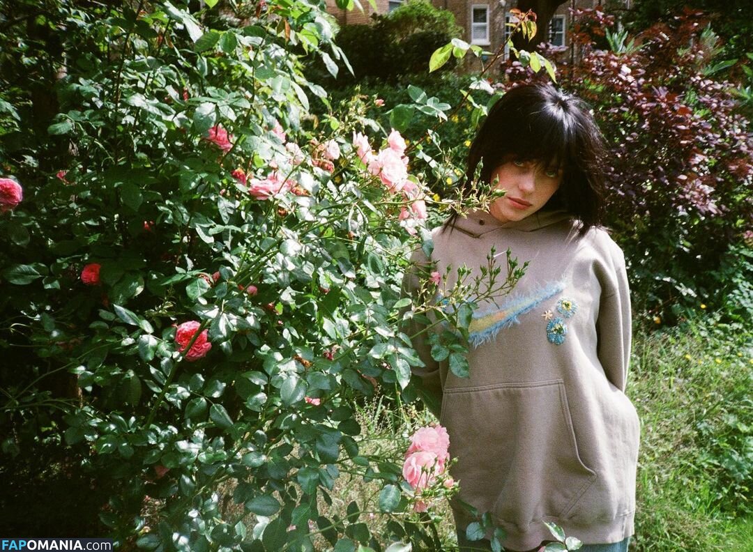 Billie Eilish / Fake / billeeilish / billieeilish Γυμνός OnlyFans  Διαρρεύσαστη φωτογραφία #2228