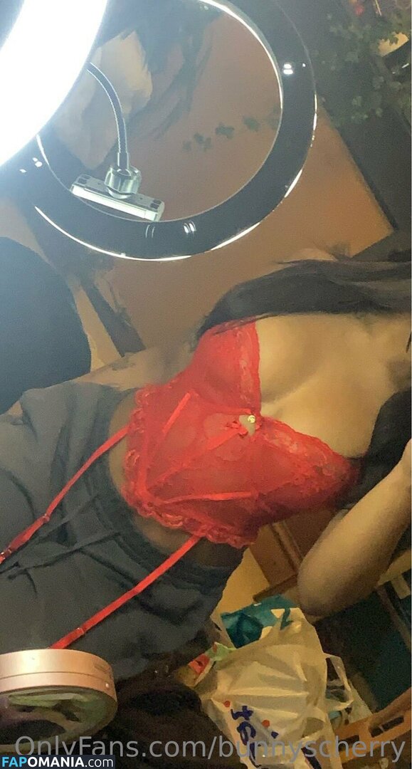 Bunnyscherry / bunnycherry4741 Γυμνός OnlyFans  Διαρρεύσαστη φωτογραφία #14