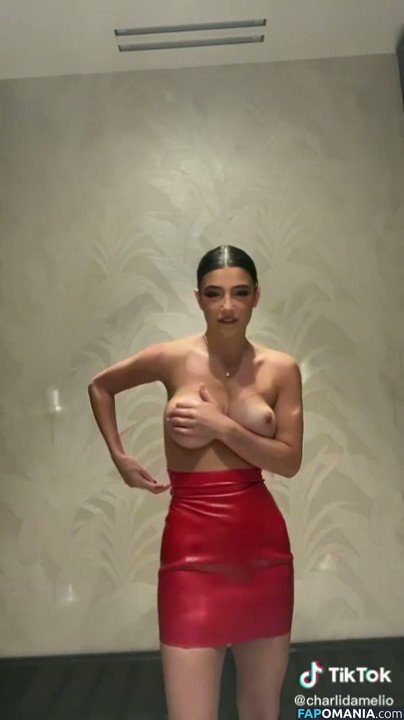 Charli D'Amelio / Charli Damelio / charlidamelio / charliesdamelio Γυμνός OnlyFans  Διαρρεύσαστη φωτογραφία #72