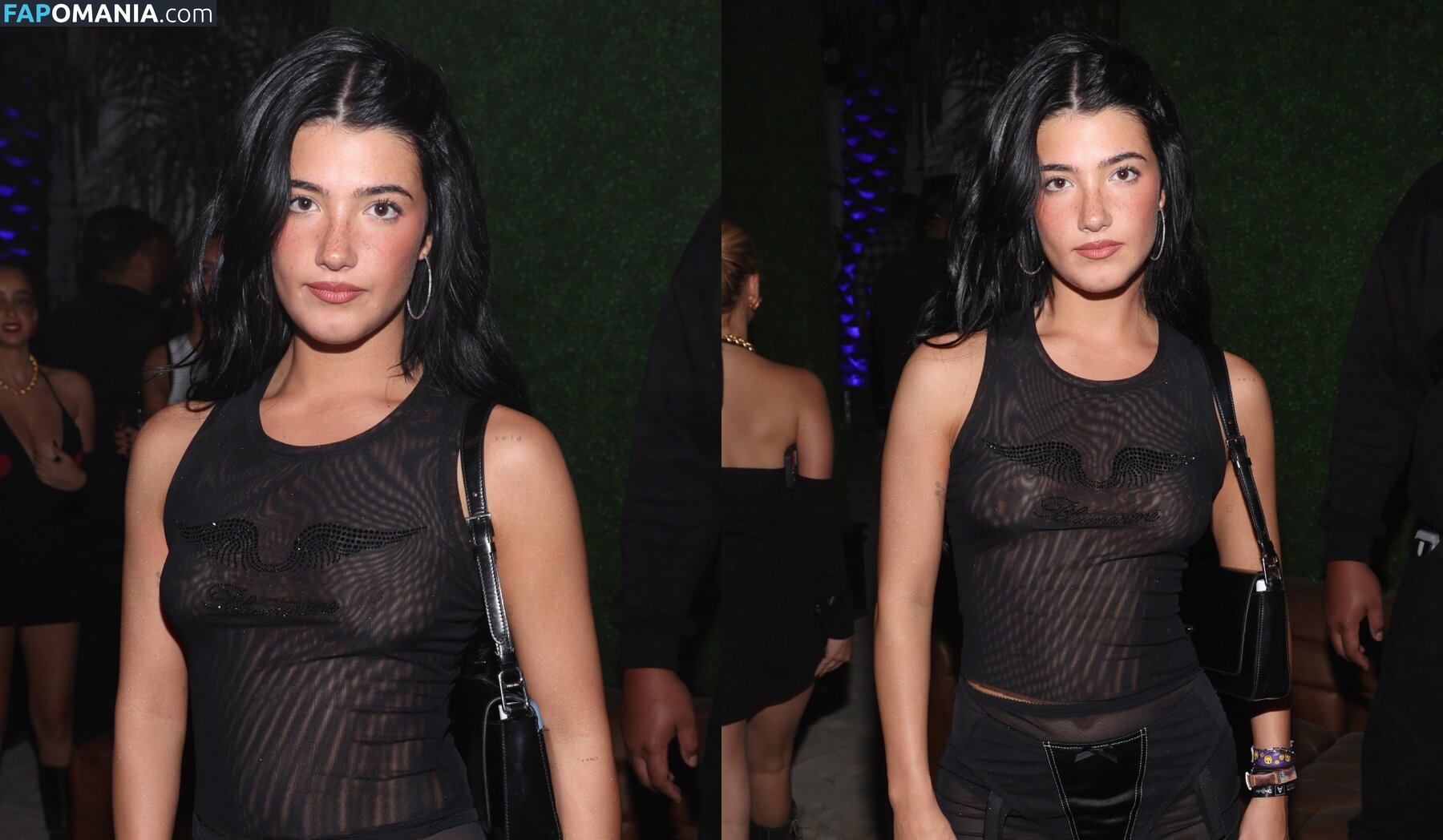 Charli D'Amelio / Charli Damelio / charlidamelio / charliesdamelio Γυμνός OnlyFans  Διαρρεύσαστη φωτογραφία #1550