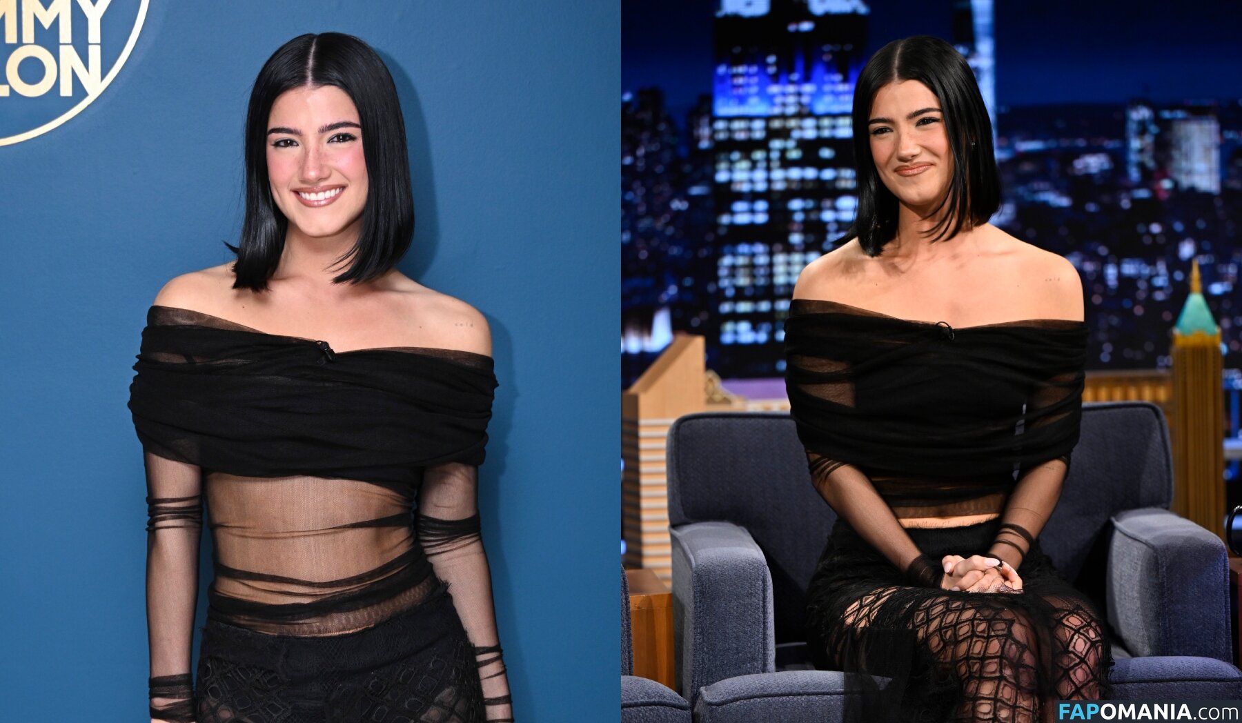 Charli D'Amelio / Charli Damelio / charlidamelio / charliesdamelio Γυμνός OnlyFans  Διαρρεύσαστη φωτογραφία #1560