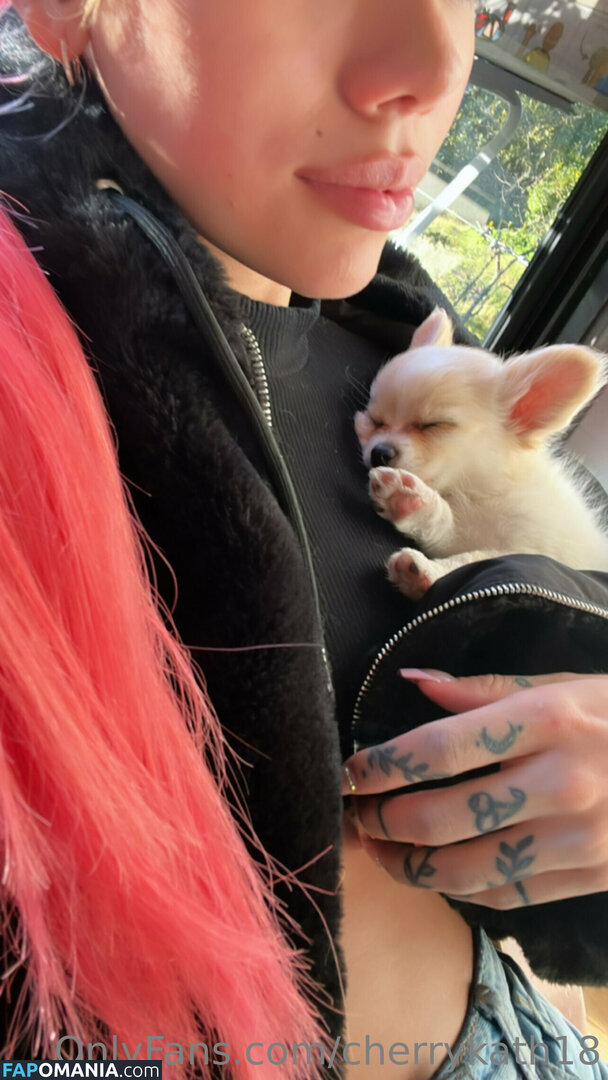 cherrykath18 Γυμνός OnlyFans  Διαρρεύσαστη φωτογραφία #19