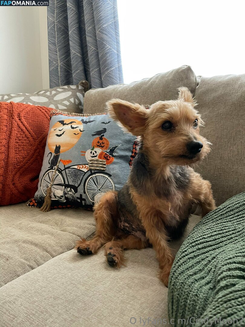 cindymoon007 / cindymoon7 Γυμνός OnlyFans  Διαρρεύσαστη φωτογραφία #280