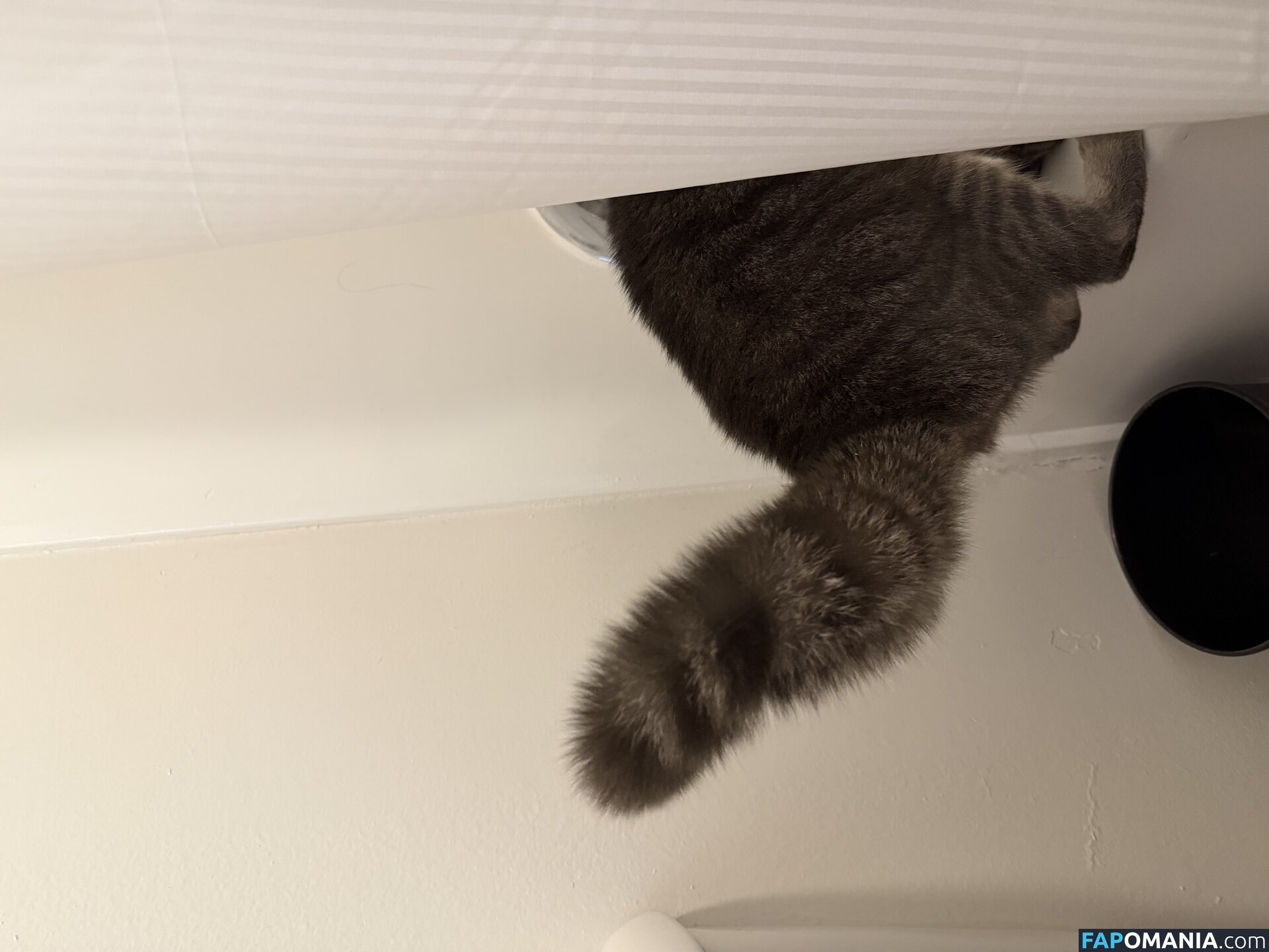 dahniks / dahnikz Γυμνός OnlyFans  Διαρρεύσαστη φωτογραφία #15