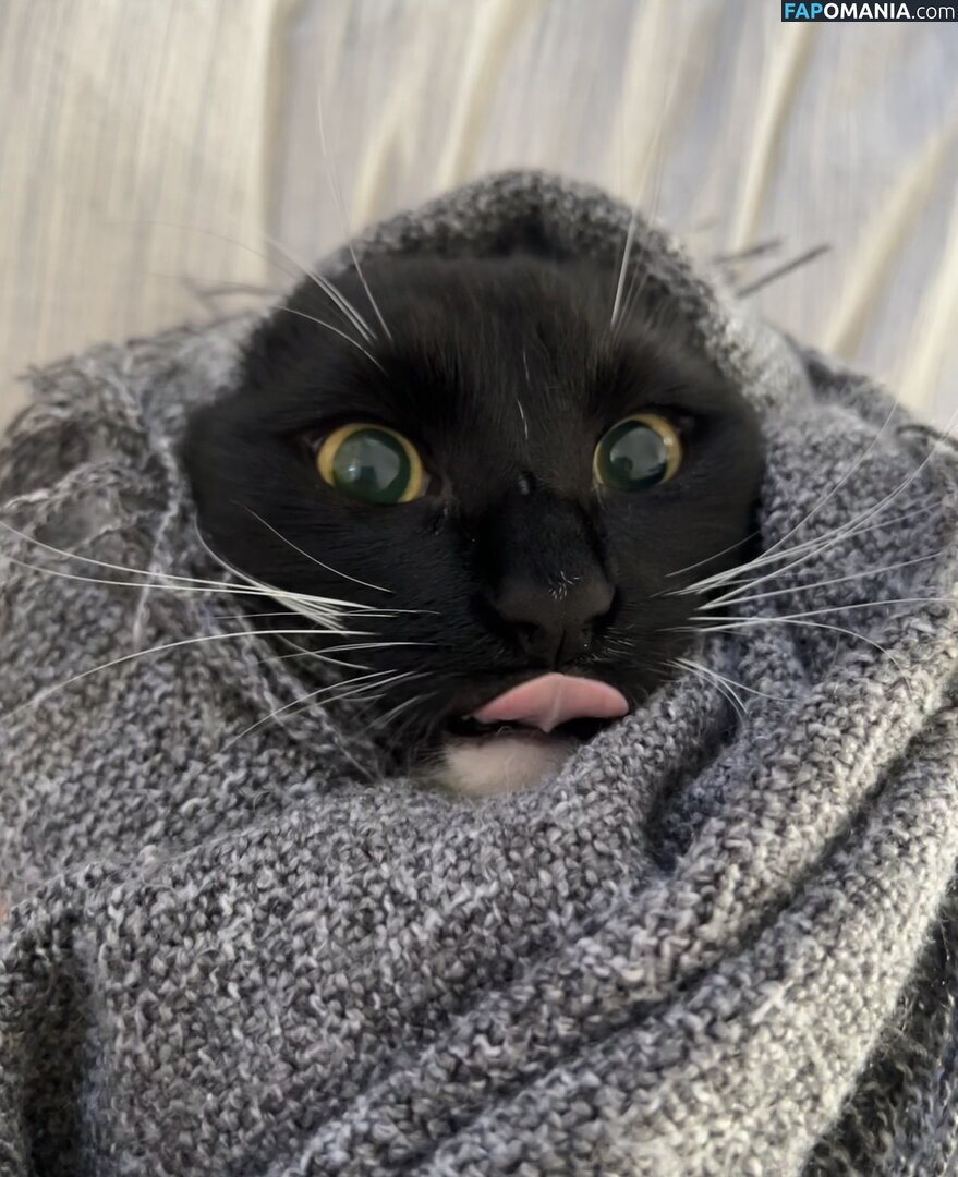 dahniks / dahnikz Γυμνός OnlyFans  Διαρρεύσαστη φωτογραφία #19