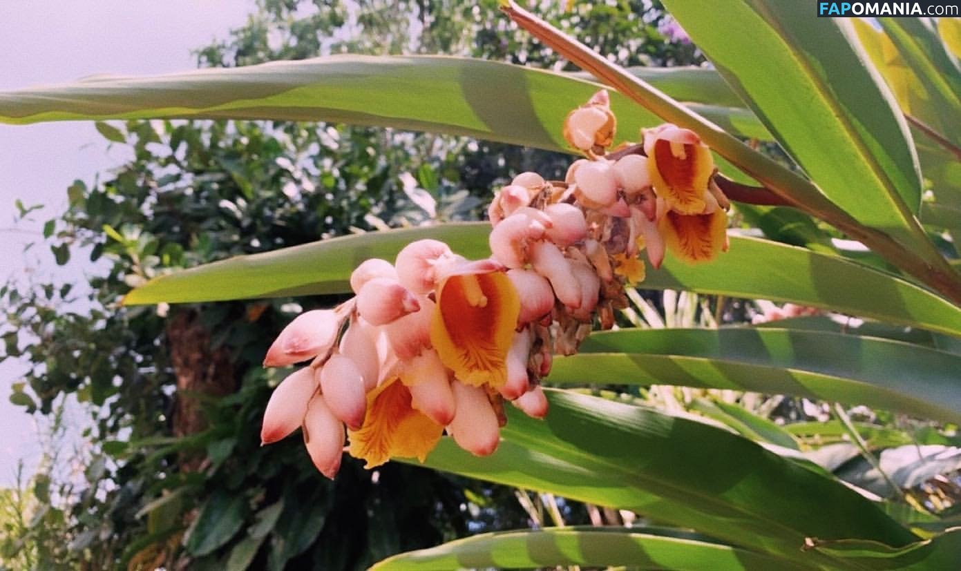 Erin Ashford / erinashford / erincaity Γυμνός OnlyFans  Διαρρεύσαστη φωτογραφία #11