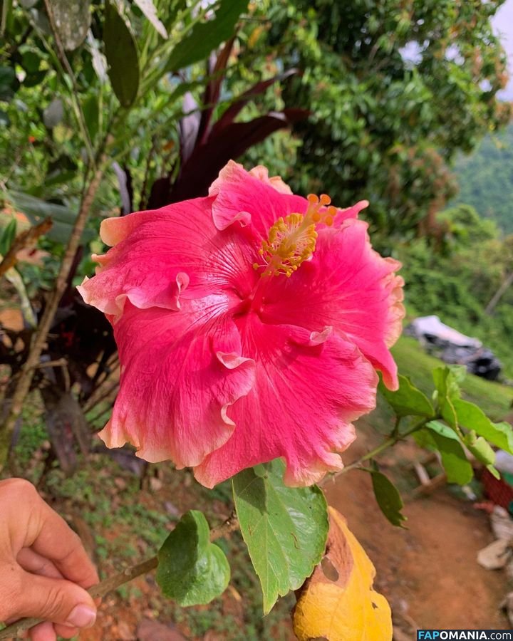 Erin Ashford / erinashford / erincaity Γυμνός OnlyFans  Διαρρεύσαστη φωτογραφία #26