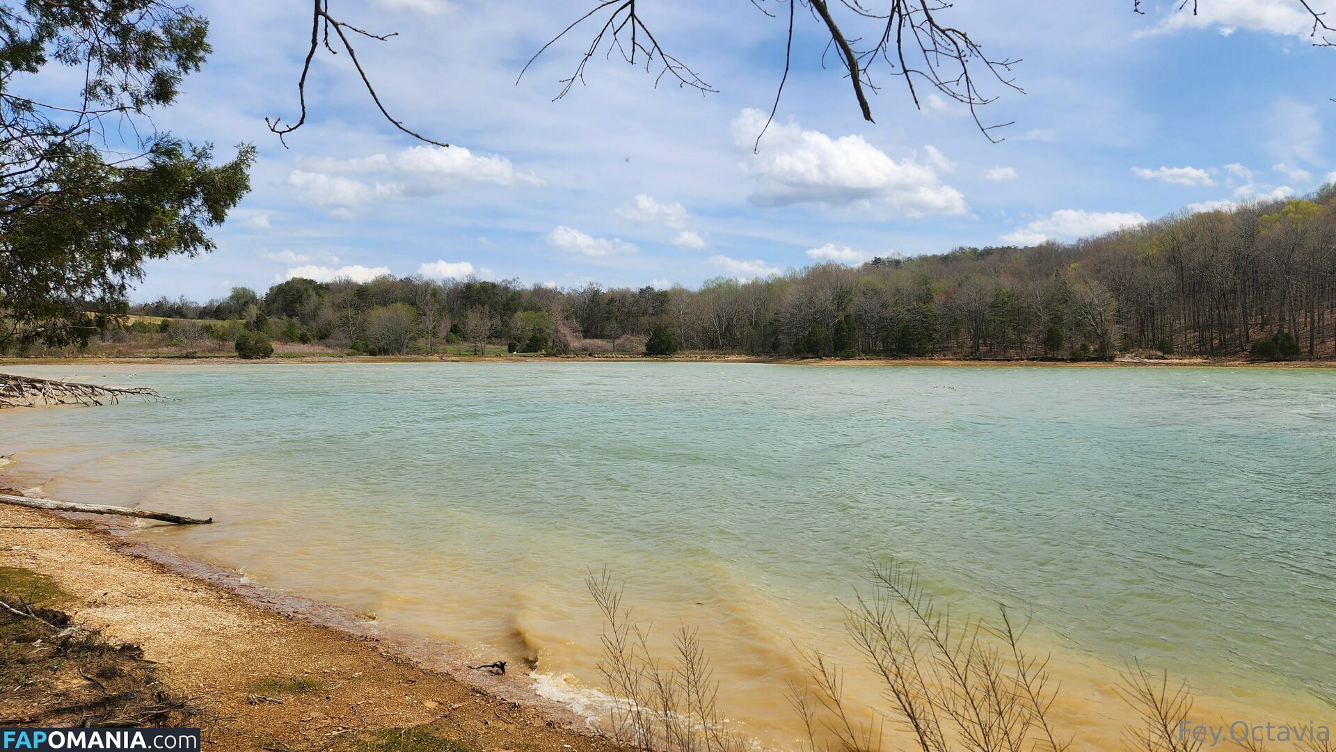 fey.octavia.free / feyoctavia Γυμνός OnlyFans  Διαρρεύσαστη φωτογραφία #7