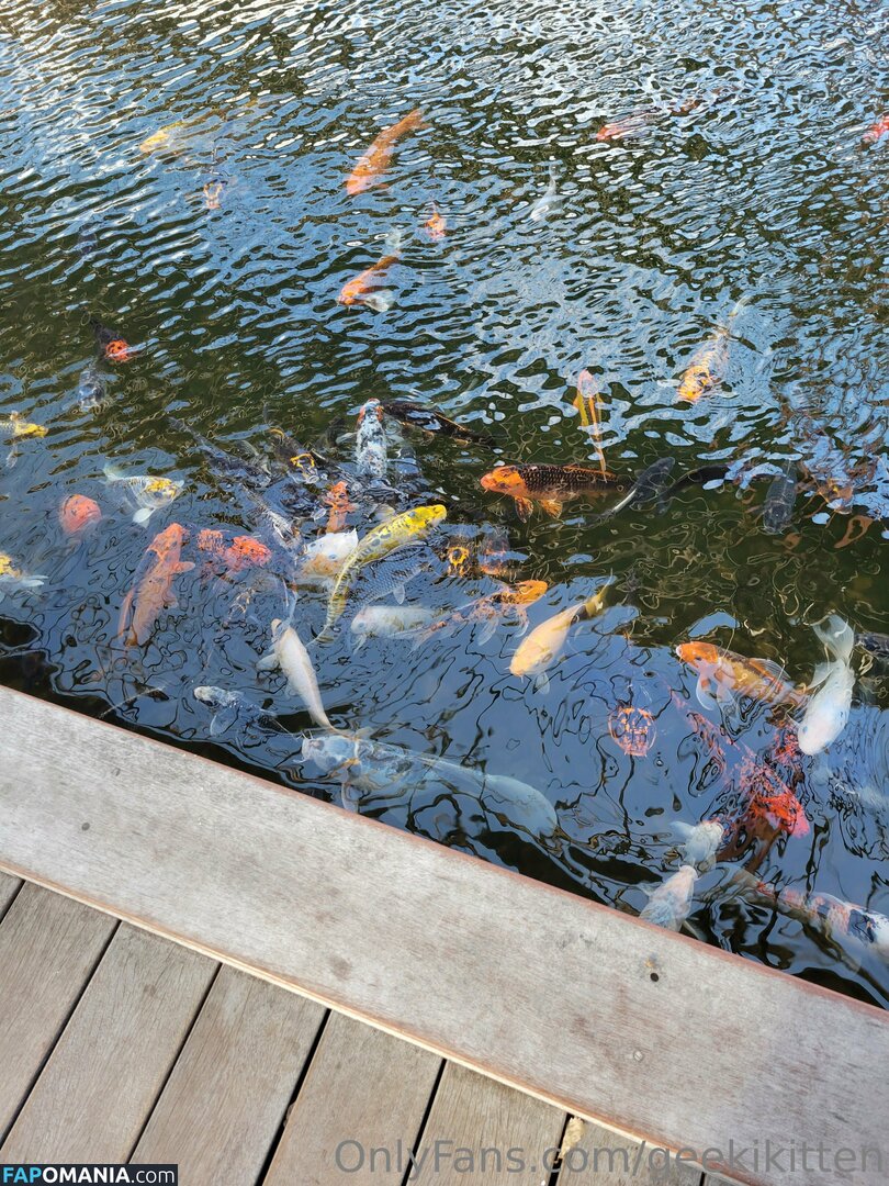 geekikitten / geekykittenxo Γυμνός OnlyFans  Διαρρεύσαστη φωτογραφία #4