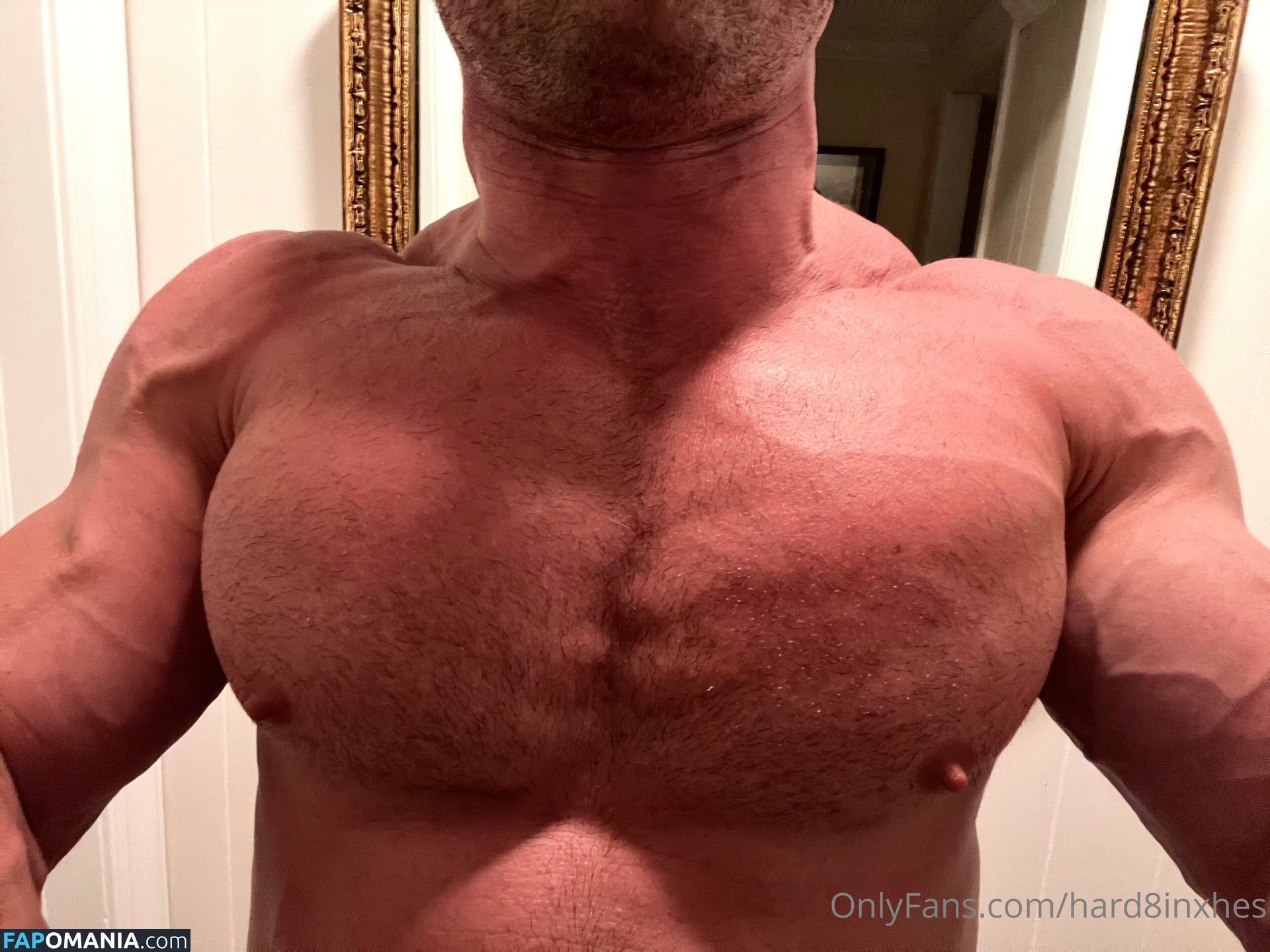 hard8inxhes Γυμνός OnlyFans  Διαρρεύσαστη φωτογραφία #6
