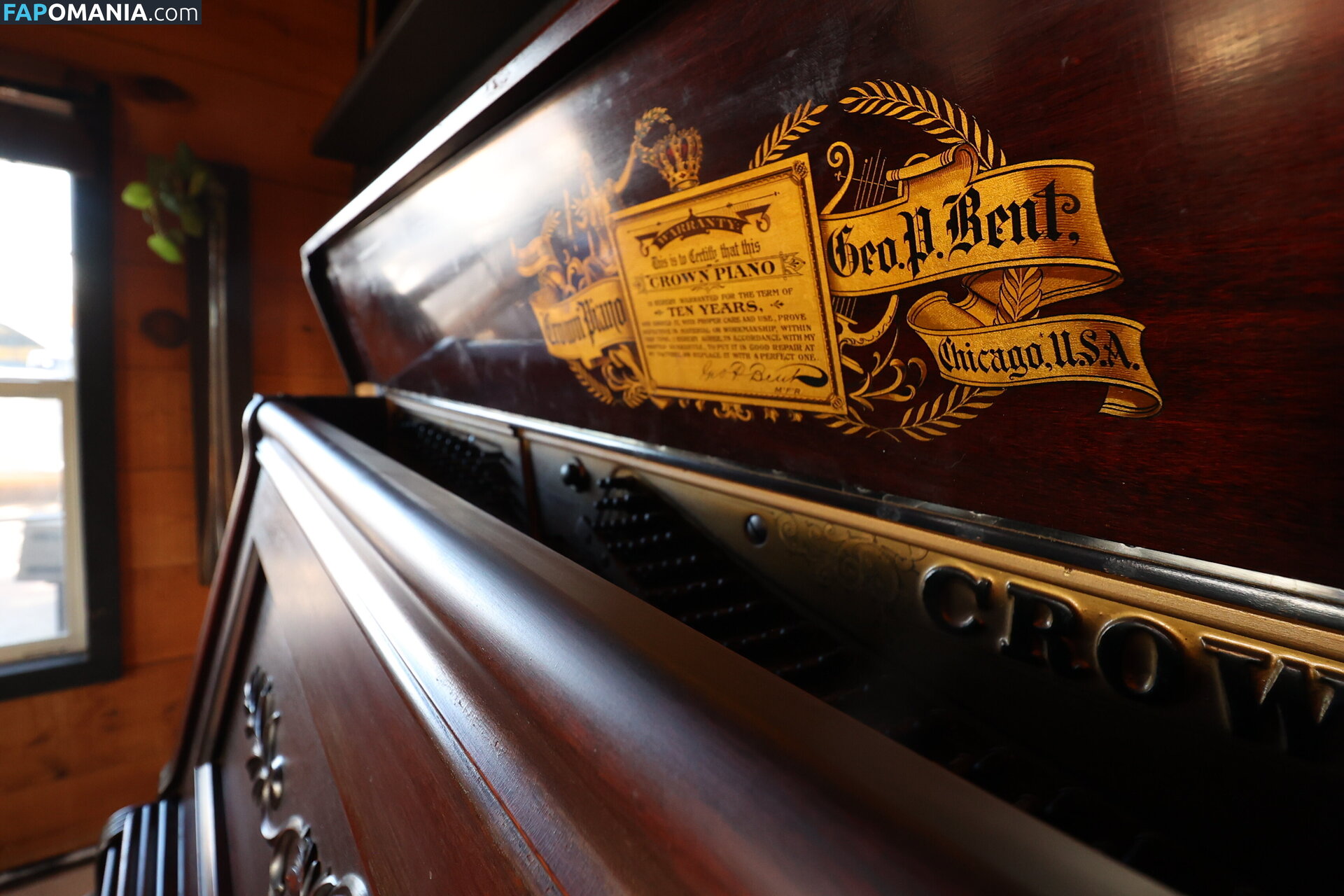 harlemhookup Γυμνός OnlyFans  Διαρρεύσαστη φωτογραφία #20