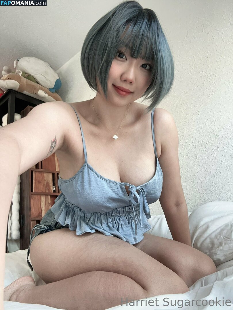 HSugarCookie / Harriet Sugarcookie / harrietsugarcookie / iamharrietsugarcookie Γυμνός OnlyFans  Διαρρεύσαστη φωτογραφία #85