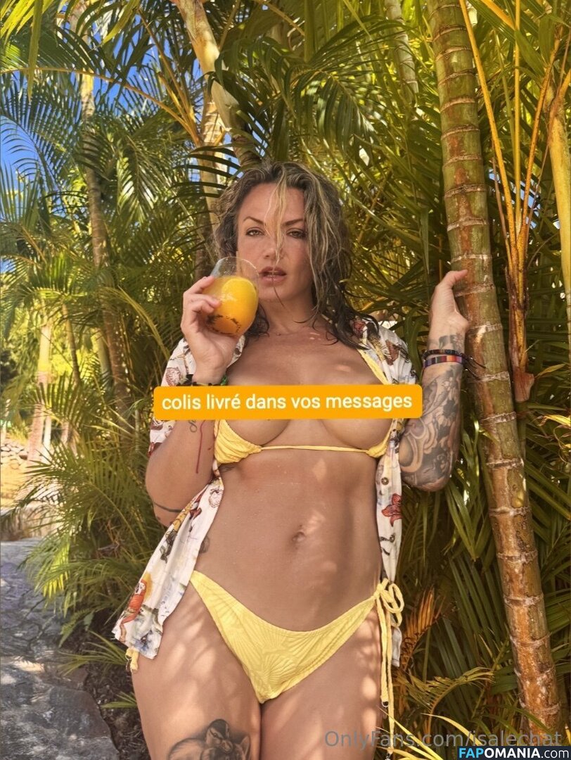 Isabelle Desjardins / isalechat Γυμνός OnlyFans  Διαρρεύσαστη φωτογραφία #12