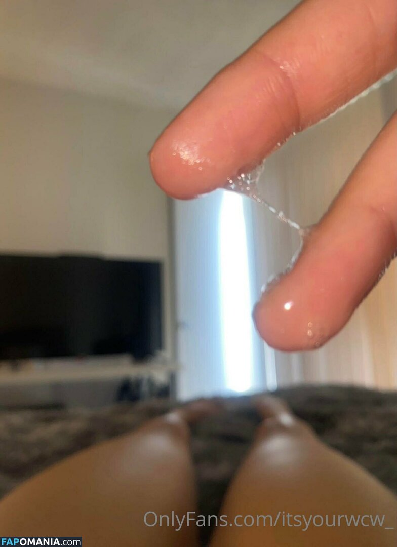 itsyourwcw_ Γυμνός OnlyFans  Διαρρεύσαστη φωτογραφία #23