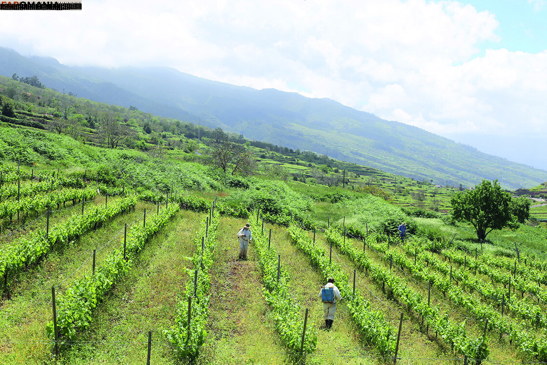 julia_lyn Γυμνός OnlyFans  Διαρρεύσαστη φωτογραφία #10