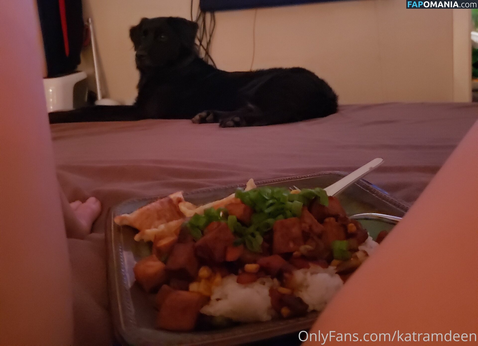 Katherine Ramdeen Γυμνός OnlyFans  Διαρρεύσαστη φωτογραφία #14