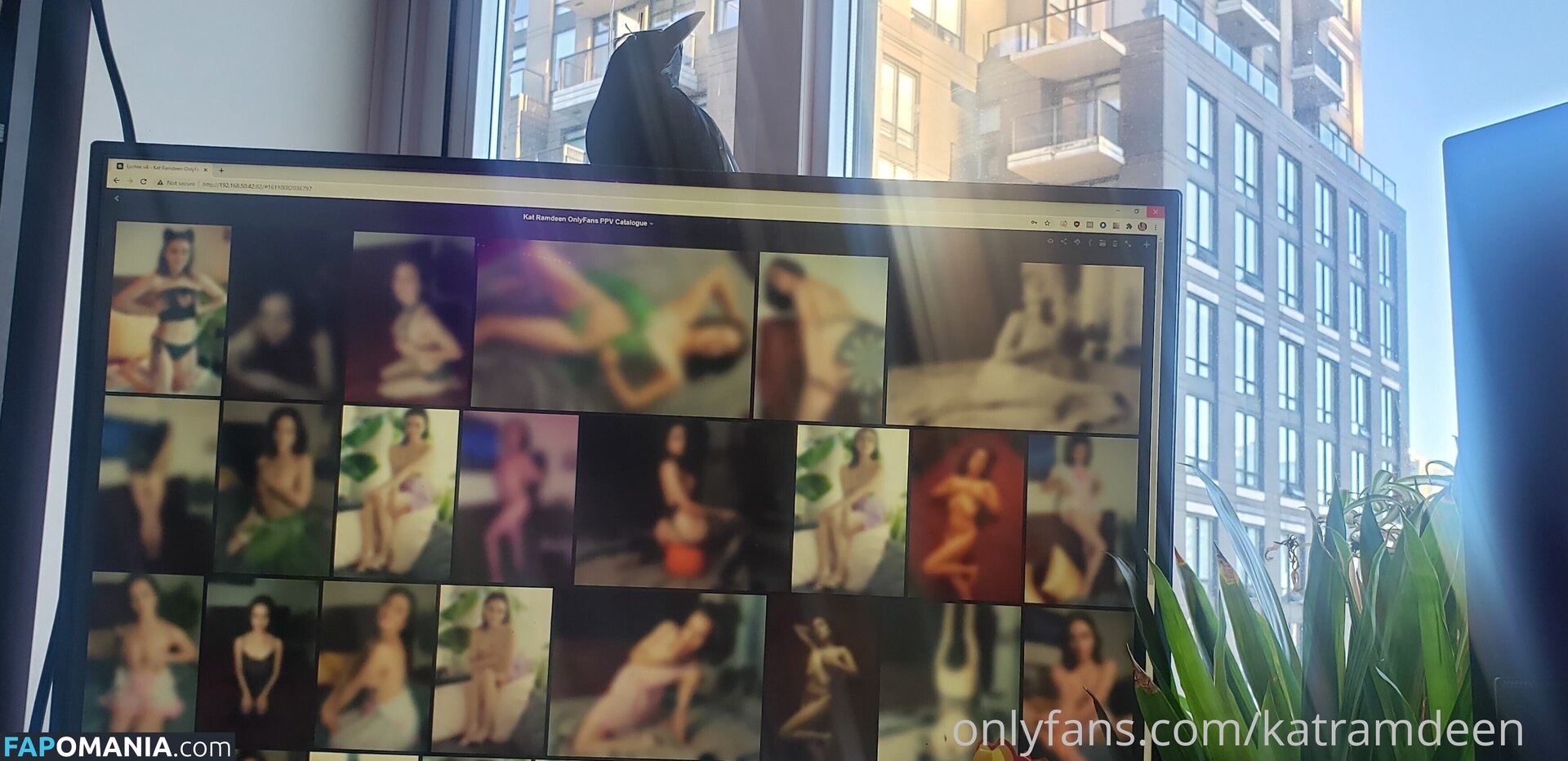 Katherine Ramdeen Γυμνός OnlyFans  Διαρρεύσαστη φωτογραφία #17