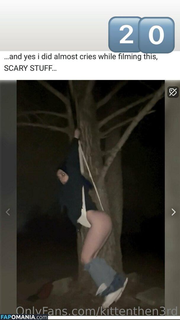 kittenthen3rd Γυμνός OnlyFans  Διαρρεύσαστη φωτογραφία #12