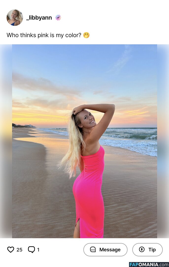 Elizabeth Gill / _libbyann / fitnessblondie69 / hunnaxlib Γυμνός OnlyFans  Διαρρεύσαστη φωτογραφία #38