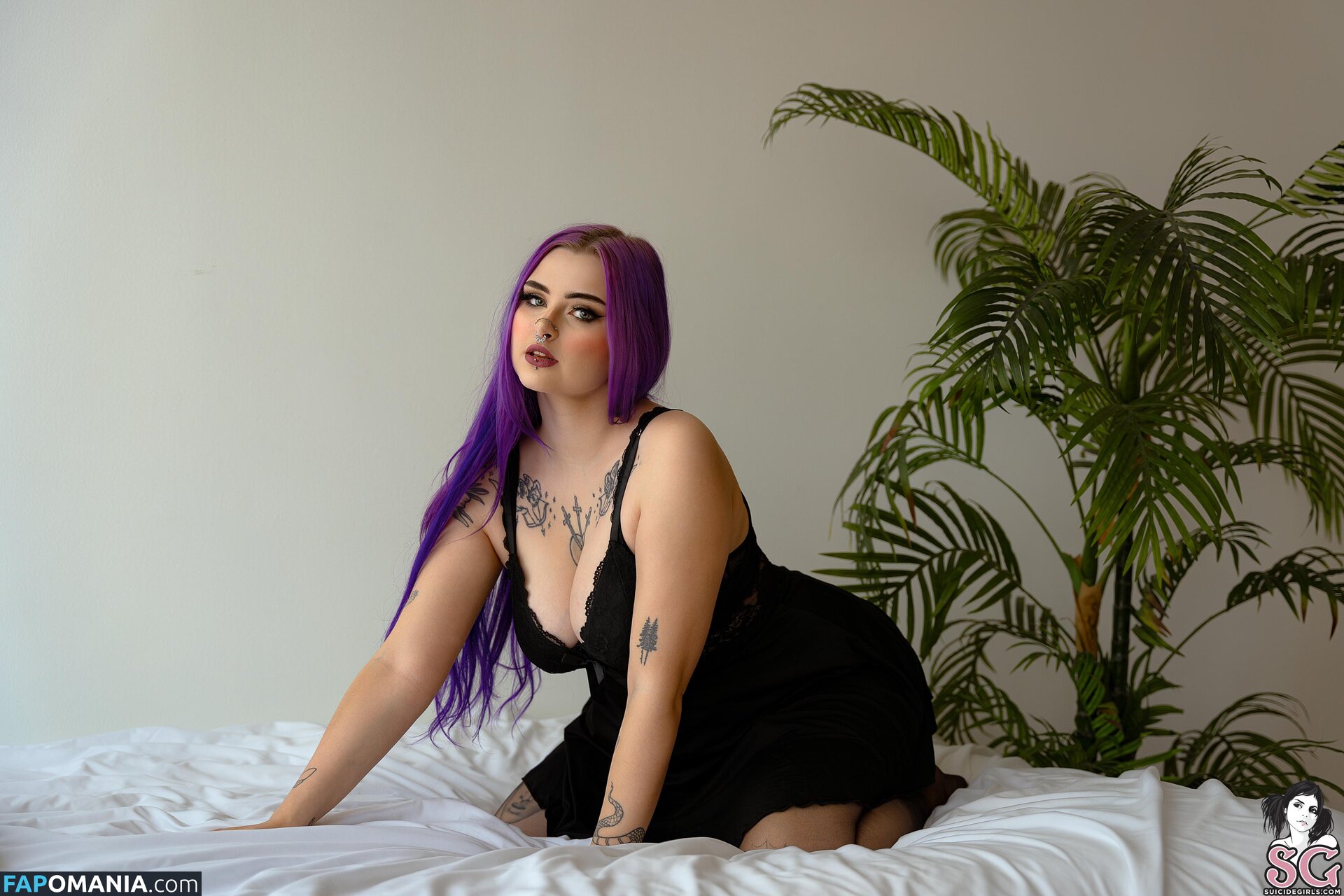 Lilacfables Γυμνός OnlyFans  Διαρρεύσαστη φωτογραφία #1