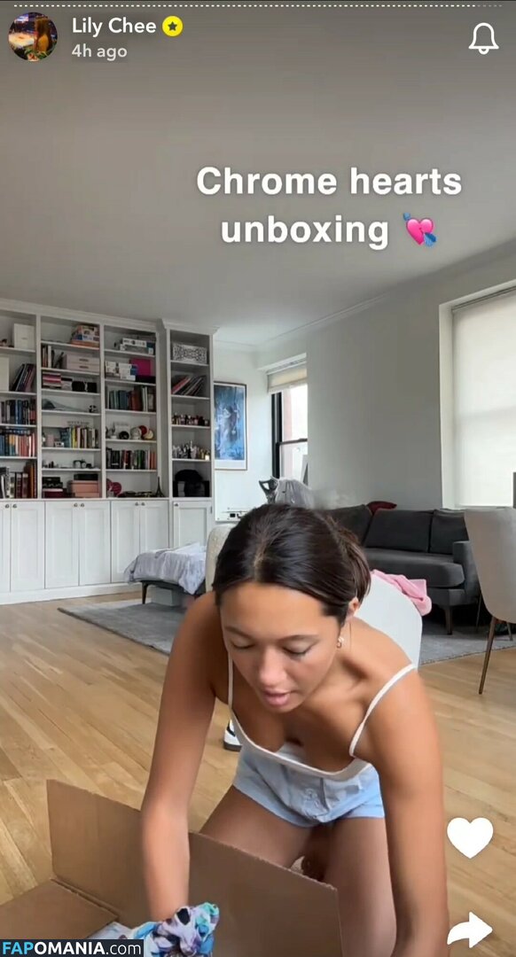 Lily Chee / lilychee Γυμνός OnlyFans  Διαρρεύσαστη φωτογραφία #468