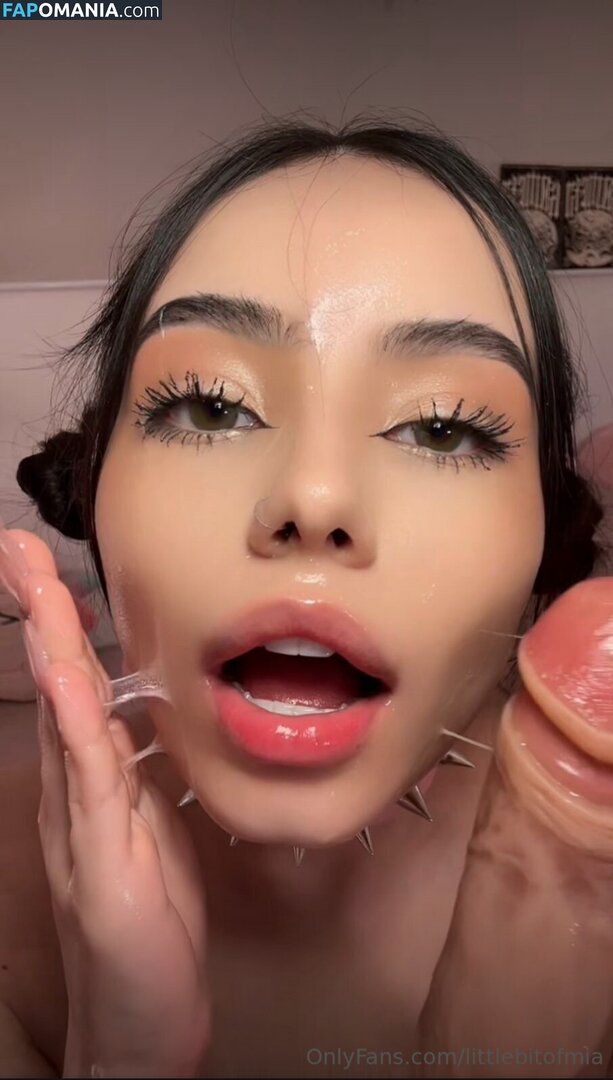 Littlebitofmia / tinybitofmia Γυμνός OnlyFans  Διαρρεύσαστη φωτογραφία #1