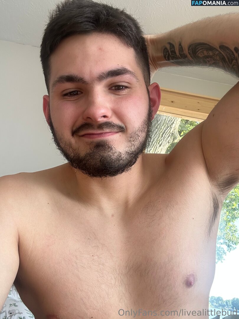 livealittlebud Γυμνός OnlyFans  Διαρρεύσαστη φωτογραφία #2