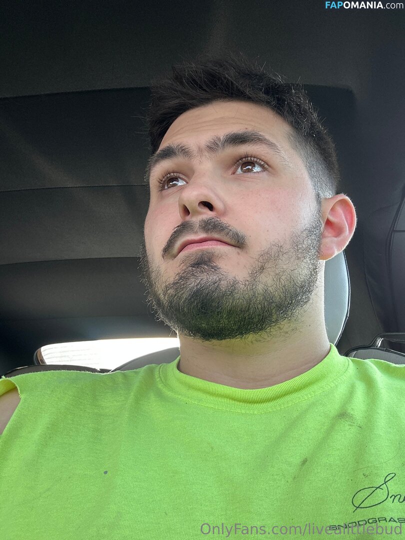 livealittlebud Γυμνός OnlyFans  Διαρρεύσαστη φωτογραφία #5