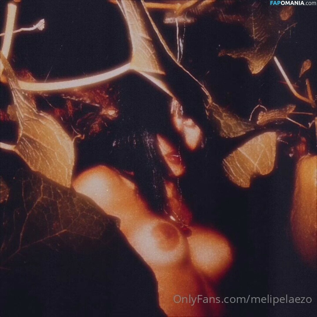 Meli Pelaez / melipelaezo Γυμνός OnlyFans  Διαρρεύσαστη φωτογραφία #9