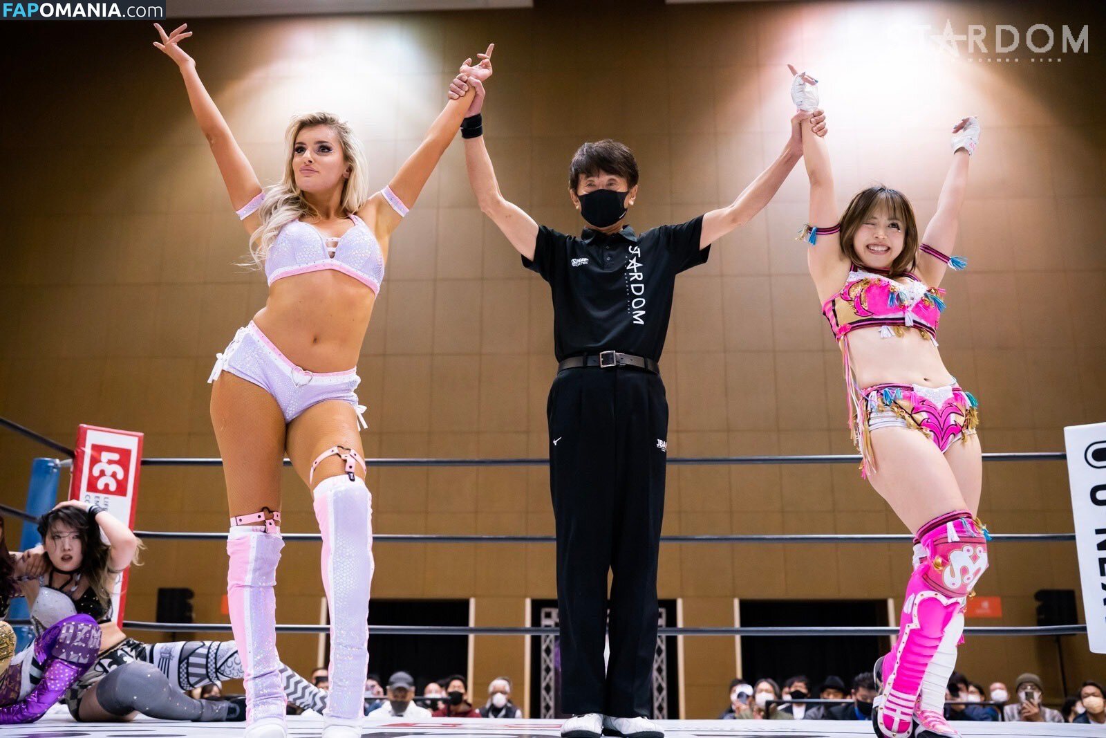 Mina Shirakawa / mina_shirakawa Γυμνός OnlyFans  Διαρρεύσαστη φωτογραφία #1122