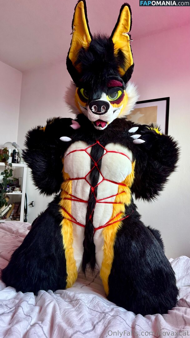 novaxcat / novaxxcat Γυμνός OnlyFans  Διαρρεύσαστη φωτογραφία #1