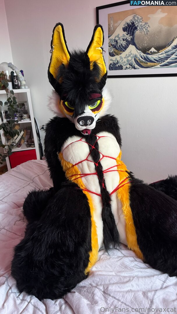 novaxcat / novaxxcat Γυμνός OnlyFans  Διαρρεύσαστη φωτογραφία #2