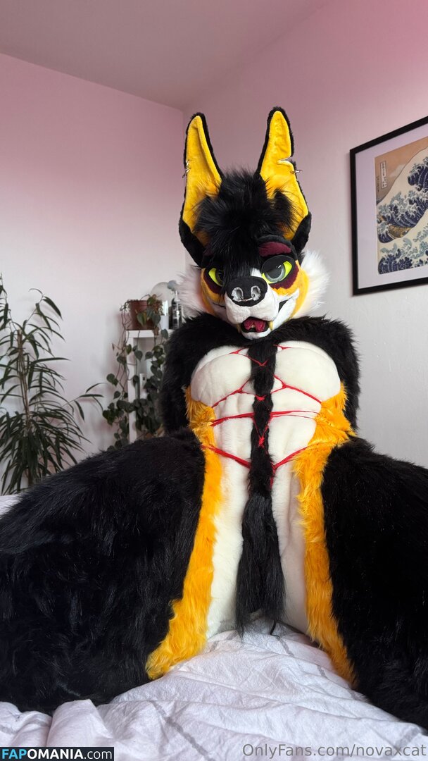 novaxcat / novaxxcat Γυμνός OnlyFans  Διαρρεύσαστη φωτογραφία #3