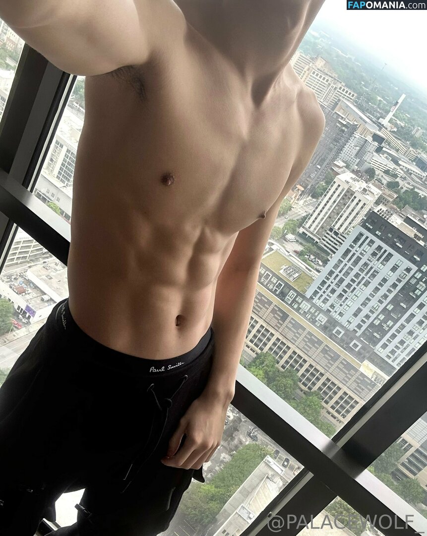 palacewolf / palacewolfent Γυμνός OnlyFans  Διαρρεύσαστη φωτογραφία #4