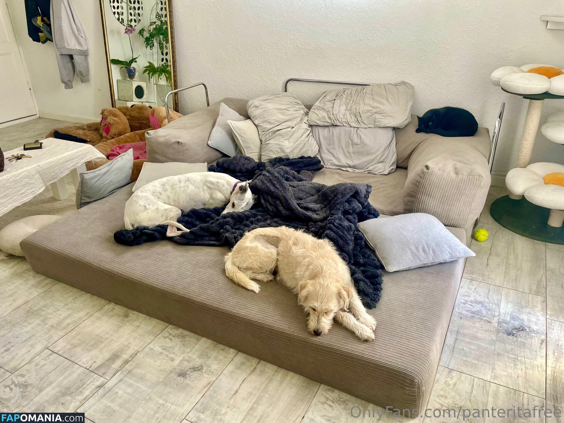 panteritafree Γυμνός OnlyFans  Διαρρεύσαστη φωτογραφία #6