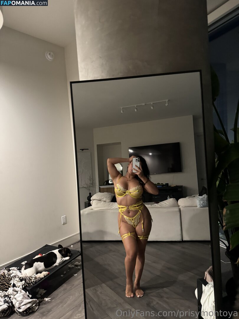 Prisy Montoya / prisymontoya Γυμνός OnlyFans  Διαρρεύσαστη φωτογραφία #69