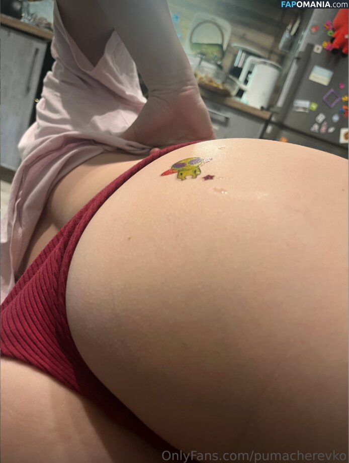 Margarita / Puma Cherevko / pumacherevko Γυμνός OnlyFans  Διαρρεύσαστη φωτογραφία #17