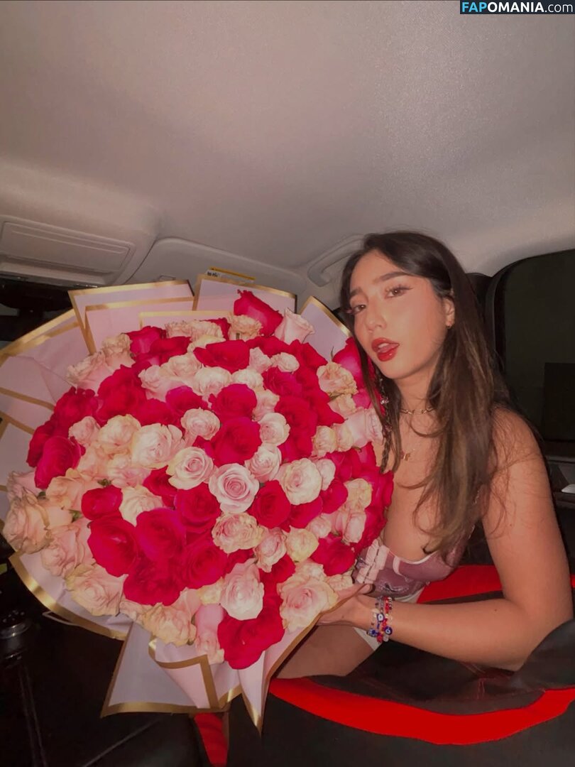 Sabrina Pezeshkian / sabababaroo / sabadabadoodle Γυμνός OnlyFans  Διαρρεύσαστη φωτογραφία #245