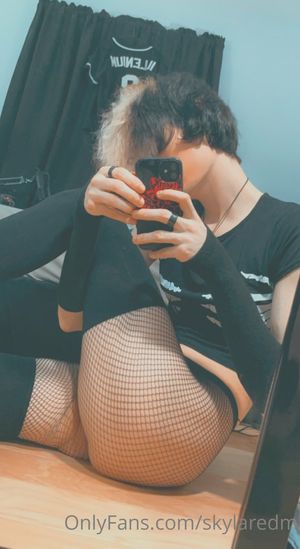 skylaredm