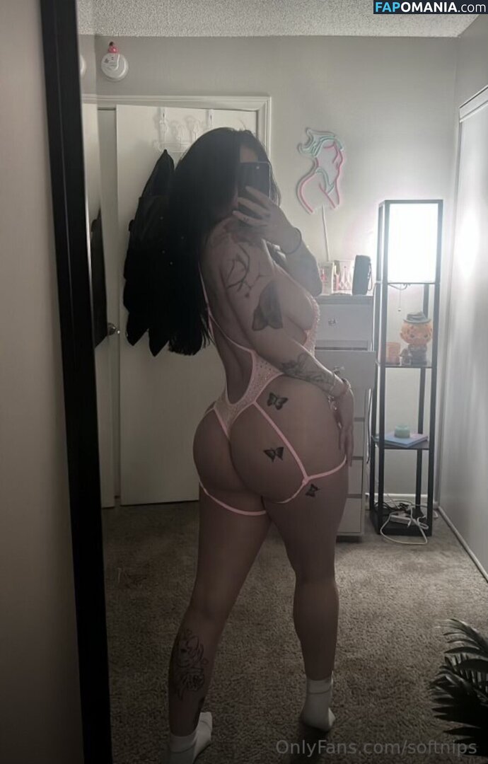 Softnips_ / katie provencio / softnips / softtnips_ Γυμνός OnlyFans  Διαρρεύσαστη φωτογραφία #5