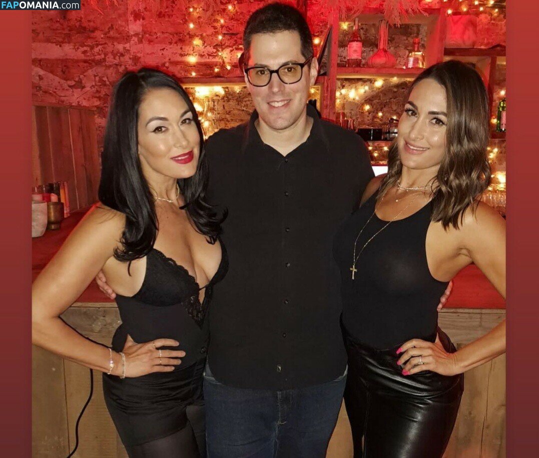 Nikki Bella & Brie Bella / The Bella Twins / thenikkibella Γυμνός OnlyFans  Διαρρεύσαστη φωτογραφία #202